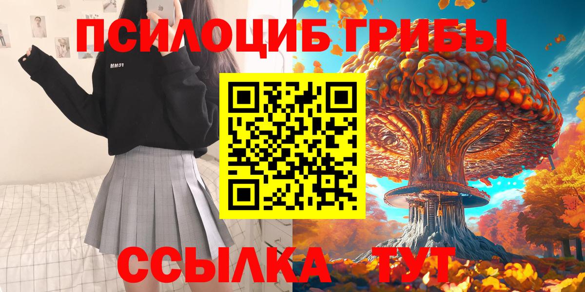 Ростов Великий  магазин    Вход с VPN  Галлюциногенные грибы Psilocybe  Псилоцибиновые грибы Cubensis 